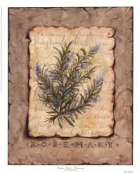Vintage Herbs - Rosemary | Obraz na stenu
