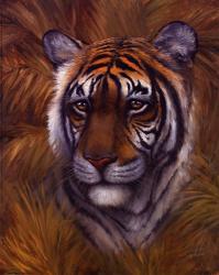 Safari Tiger | Obraz na stenu