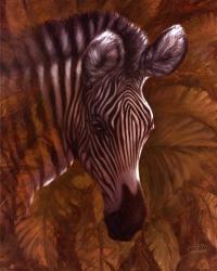 Safari Zebra | Obraz na stenu