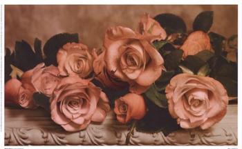 Dusty Rose | Obraz na stenu