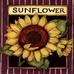Sunflower Seed Packet | Obraz na stenu