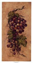 Vintage Grapevine ll | Obraz na stenu
