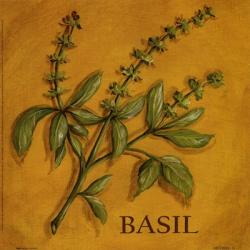 Basil | Obraz na stenu