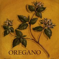 Oregano | Obraz na stenu