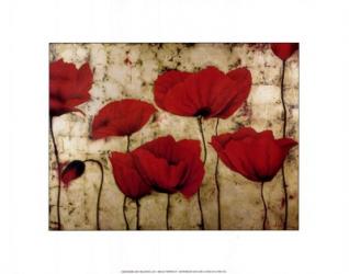 Poppies II | Obraz na stenu
