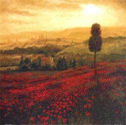 Shades Of Poppies | Obraz na stenu