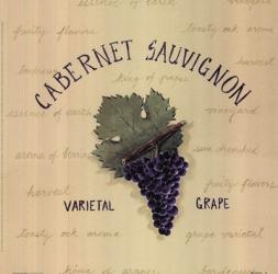 Cabernet Sauvignon | Obraz na stenu