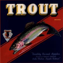 Trout | Obraz na stenu