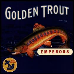 Golden Trout | Obraz na stenu