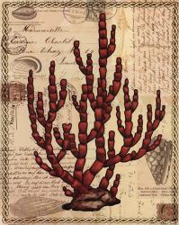 Red Coral III | Obraz na stenu
