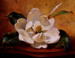 Magnolia Glow I | Obraz na stenu