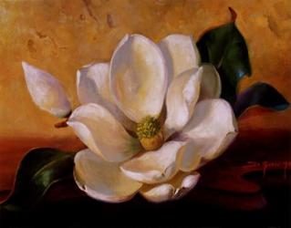 Magnolia Glow II | Obraz na stenu