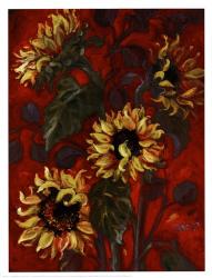 Sunflowers I | Obraz na stenu