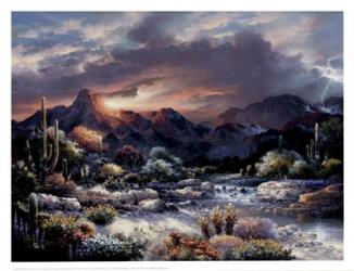 Sonoran Sunrise | Obraz na stenu