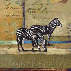 Serengeti Zebra | Obraz na stenu