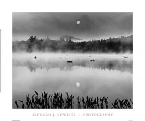 Lake Flower Moonset | Obraz na stenu