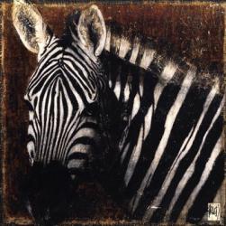 Portrait de Zebre | Obraz na stenu