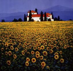 Sunflowers Field | Obraz na stenu