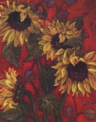Sunflowers II | Obraz na stenu