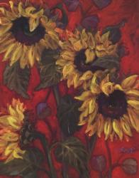 Sunflowers II | Obraz na stenu