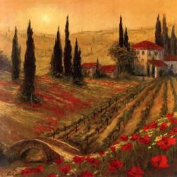 Poppies Of Toscano I | Obraz na stenu