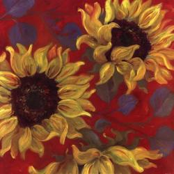 Sunflower II | Obraz na stenu