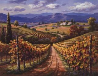 Vineyard Hill II | Obraz na stenu