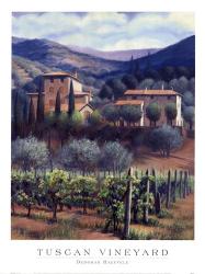 Tuscan Vineyard | Obraz na stenu