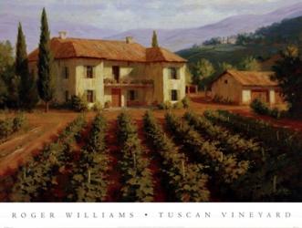 Tuscan Vineyard | Obraz na stenu