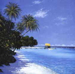 Tropical Paradise II | Obraz na stenu