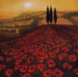 Poppy Field | Obraz na stenu