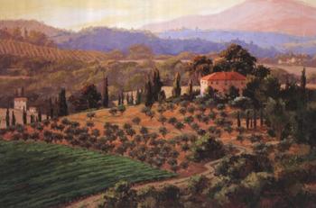 Glint Of Tuscan Sun | Obraz na stenu