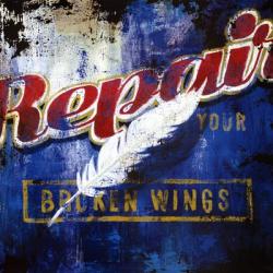 Repair Your Broken Wings | Obraz na stenu