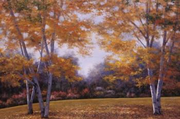 Autumn Birch | Obraz na stenu
