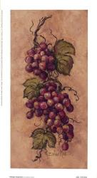 Vintage Grapevine l | Obraz na stenu