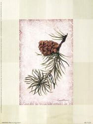 Adirondack Pine l | Obraz na stenu