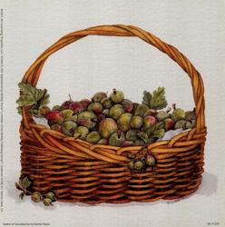 Basket Of Gooseberries | Obraz na stenu