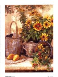 Hong - Sunflower Garden II Size 5x7 | Obraz na stenu