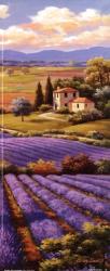 Fields Of Lavender I | Obraz na stenu