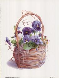 Grapevine Pansy Basket | Obraz na stenu