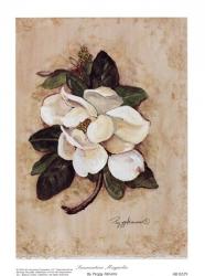 Summertime Magnolia | Obraz na stenu