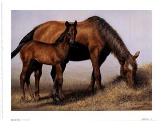 Mare and Foal | Obraz na stenu