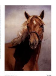 American Quarter Horse | Obraz na stenu