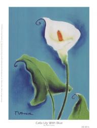 Calla Lily With Blue | Obraz na stenu