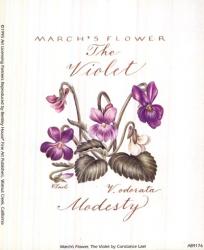 March's Flower, The Violet | Obraz na stenu