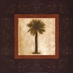 Sago Palm | Obraz na stenu
