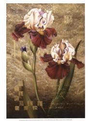 Grand Irises | Obraz na stenu