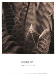 Moonglow II | Obraz na stenu
