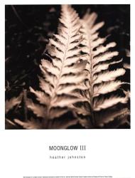Moonglow III | Obraz na stenu