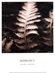 Moonglow IV | Obraz na stenu